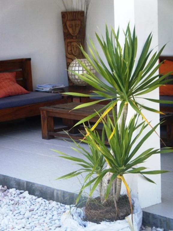 Indigo Bungalows Gili Trawangan Eksteriør billede